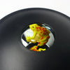 3D Mirascopel Visual Illusion Box Optical Holographic Projection Physical Imaging Educational Science Toys(Frog+Ladybug)