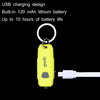 GOOFY Mini USB Rechargeable LED Flashlight Portable Keychain(Green)