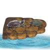 Large Turtle Basking Platform - Calcium Resin Floating Dock