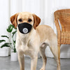 Dog Air Pollution Mask (3-Pack, Black, S) Breathable & Adjustable