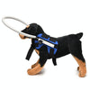 Blind Dog Halo S (Blue) - Anti-Collision Ring for Small Dogs (4-10kg)