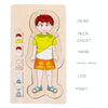 Onshine Five-Layer Human Body Structure Puzzle Wooden Puzzles For Children Physical Cognition(Girl)