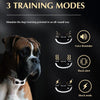 Wireless Dog Fence & Training Collar - 300m Range (Gold)