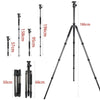 BEXIN W324C G44 Carbon Fiber Tripod Stable Shooting Camera for Video Point Dslr Camera