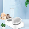 Large Anti-Tip Pet Bowl with Automatic Waterer (600ml)