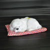 Simulation Will Call the Sleeping Dog Ornaments Toy Creative Doll Children Gift(White)