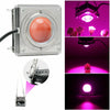COB Plant Growth Light LED Vegetable Planting Succulent Light, Light:Full Spectrum(AU Plug 220V)