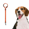 Dog Car Seat Belt, Adjustable Safety Lead (Orange)