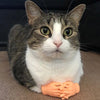 Cat Massage Gloves & Finger Cots - Gentle Grooming & Bonding