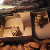 Turtle Basking Platform - Floating Island for Aquariums