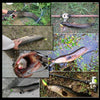 HENGJIA 1# 8cm Plastic Hard Baits Squid Fishing Lures Decoy Wood Shrimp Baits (Magenta+Dark Red)