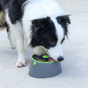 Dog Lick Mat & Slow Feeder for Cages | Suction Cup & Bowl