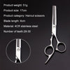 Fashion Durable Sharp Hairdressing Hair Cutting Shears/Scissors and Barber Thinning Tooth Shear(Silver Thinning scissor)