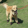 Waterproof Dog Boots Red Size 7 (7x5.7cm) - Winter Paw Protection