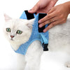 Cat Leash Pet Chest Harness Leash, Size: M(Sky Blue)