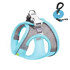 Breathable Mesh Dog Harness with 2m Lead, Blue, XS