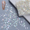 Nail Art Decoration Seashell Fragment Nail Decoration, Style: 01 Bay