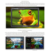 FEELWORLD LUT11 10.1 inch Ultra High Bright 2000nit Touch Screen DSLR Camera Field Monitor, 4K HDMI Input Output 1920 x 1200 IPS Panel(EU Plug)