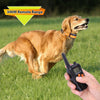 998DC Anti Bark Collar - Rechargeable Dog Training Collar - 330yd Range - UK Plug