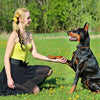 Waterproof Rechargeable Dog Training Collar - 300m Range