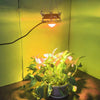 COB Plant Growth Light LED Vegetable Planting Succulent Light, Light:Sunligh(AU Plug 220V)