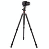 Triopo MT-2804C Adjustable Portable Aluminum Tripod with NB-2S Ball Head for Canon Nikon Sony DSLR Camera(Black)