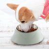 Stainless Steel Double Pet Bowl Green - Dog & Cat Food Water