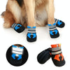 Waterproof Dog Boots, Medium (M, Orange), Non-Slip & Durable