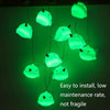 1.5m 10 LEDs Whale String Lights Room Wedding Party Decoration Lantern(Warm Light)