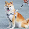 Red Reflective Dog Harness with Leash (M) - Breathable & Padded