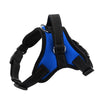 K9 Dog Harness, Adjustable, Breathable Mesh, Blue, Medium