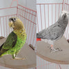 Natural Wood Parrot Perch Platform | Small Pet Stand 13x13cm