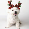 Sequinned Antler Christmas Hat for Dogs, Medium
