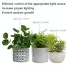 LED Plant Growth Lamp Full Spectroscopy Intelligent Timing Indoor Fill Light Ring Plant Lamp, Power: Four Head(Sunshine)