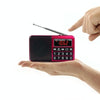 Y-928 FM Radio LED Display MP3 Support  TF Card U Disk(Gold)