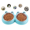 Stainless Steel Double Pet Bowl (Green) - Cat & Dog Food Bowl