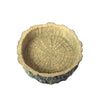 Reptile Resin Food & Water Bowl | Lizard, Snake & Spider Dish