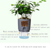 Transparent Plastic Double-Layer Water Storage Automatic Water-Absorbing Flowerpot, Size: A707 Caliber 15.3cm(Gray Transparent Basin)