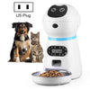 Automatic Pet Feeder 3.5L | 4 Meals/Day | US Plug
