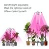 LED Plant Lamp With 1.6m Stand USB Remote Control Dimming Grow Light, Style: Four Head(Full Spectral)