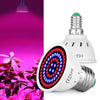 4 PCS LED Plant Growth Lamp Red Blue Spectrum Plant Fill Light, Power: E14 48 Beads