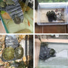 Large Turtle Basking Platform & Cave - Resin Aquatic Reptile Hide