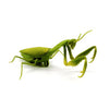 6661 Infrared Sensor Remote Control Simulated Praying Mantis Creative Children Electric Tricky Toy Model