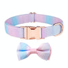 Rose Gold Buckle Dog Collar XL (43-70cm) - Fantasy Gradient