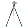 Triopo MT-2504C Adjustable Portable Aluminum Tripod (Gold) with NB-1S Ball Head (Black) for Canon Nikon Sony DSLR Camera