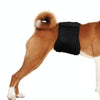 Male Dog Special Courtesy Belt Pet Physiological Pants, Size: M(Shallow Purple)