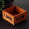 2PCS Plant Flower Flower Pot Flower Mini  Box,Random Color Delivery