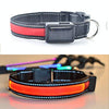 USB Rechargeable LED Dog Collar, Red, S (35-40cm) - Solar Powered