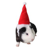 Christmas Pet Hat, Flannel, Red & White, Small Animals