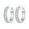 S925 Sterling Silver Simple Fine Flash Zircon Earrings